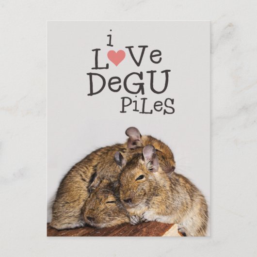 I Love Degu Piles Briefkaart (Voorkant)