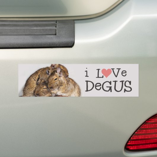 I Love Degus - Degu Pile Bumpersticker (Op auto)