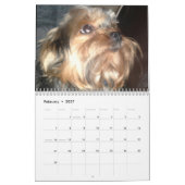 I LOVE DOGS   CALENDAR KALENDER (Feb 2027)