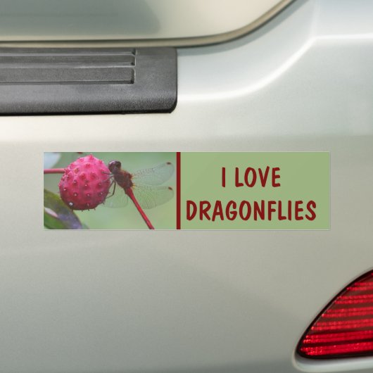 I Love Dragonflies Nature Bumpersticker (Op auto)