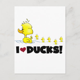 I Love Ducks Tshirts and Gifts Briefkaart