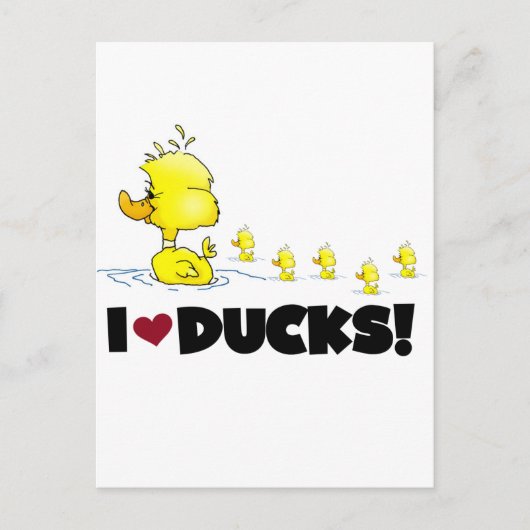 I Love Ducks Tshirts and Gifts Briefkaart (Voorkant)