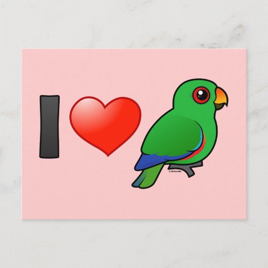 I Love Eclectus Parrots (mannelijk) Briefkaart (Voorkant)