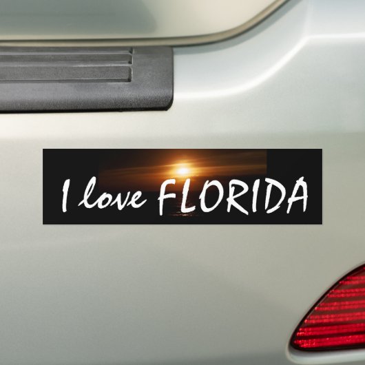 I Love FLORIDA Bumpersticker (Op auto)