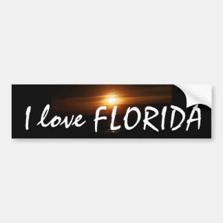 I Love FLORIDA Bumpersticker