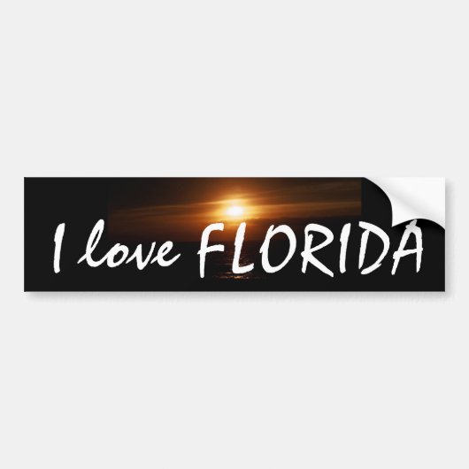 I Love FLORIDA Bumpersticker (Voorkant)