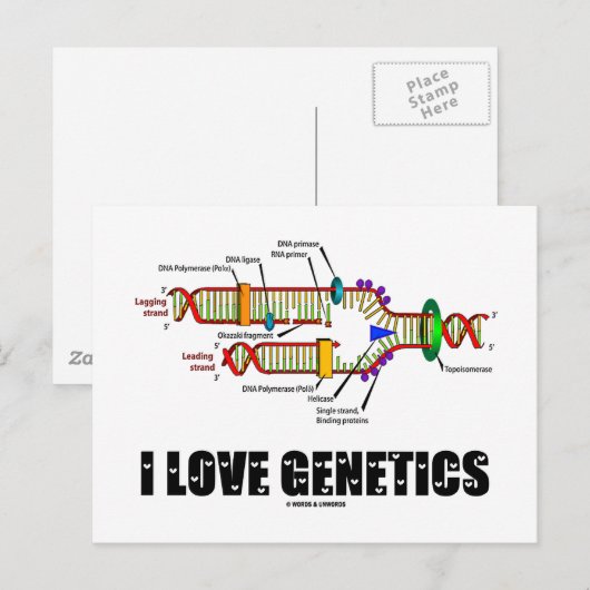 I Love Genetics (DNA Replication) Briefkaart (Voorkant / Achterkant)