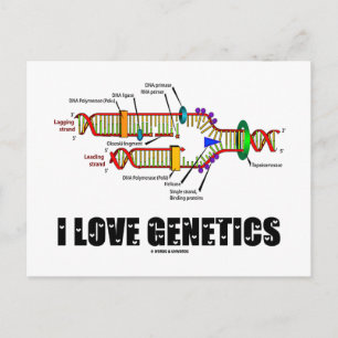 I Love Genetics (DNA Replication) Briefkaart