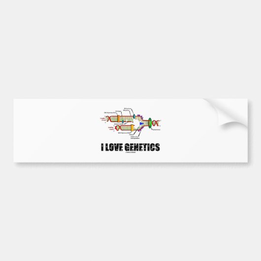 I Love Genetics (DNA Replication) Bumpersticker (Voorkant)