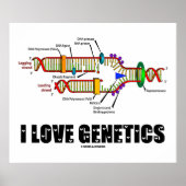 I Love Genetics (DNA Replication) Poster (Voorkant)