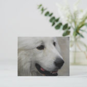 I Love Great Pyreneeën Briefkaart (Staand voorkant)