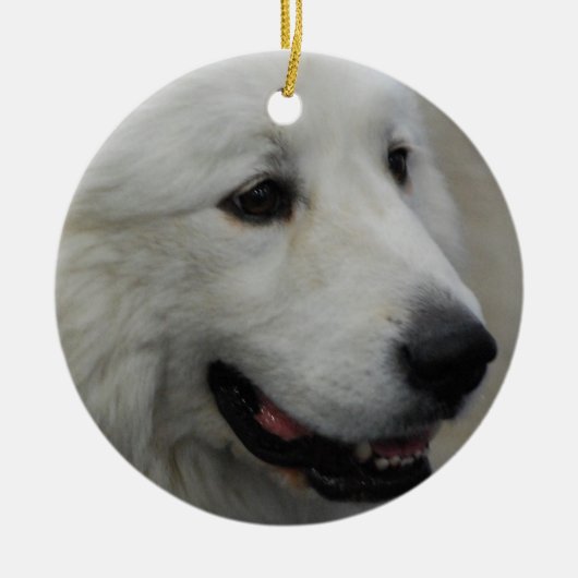 I Love Great Pyreneeën Ornament (Voorkant)