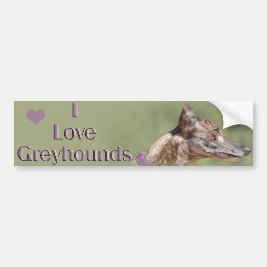 I Love Greyhounds Bumpersticker (Voorkant)