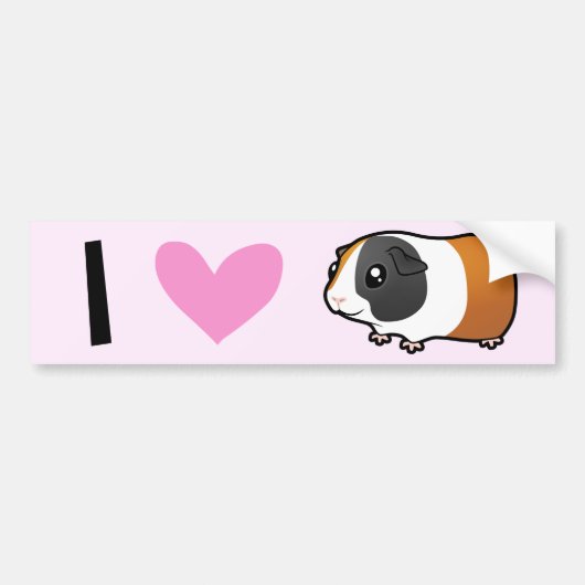 I Love Guinee Pigs (glad) Bumpersticker (Voorkant)