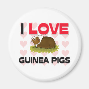 I Love Guinee Pigs Magneet