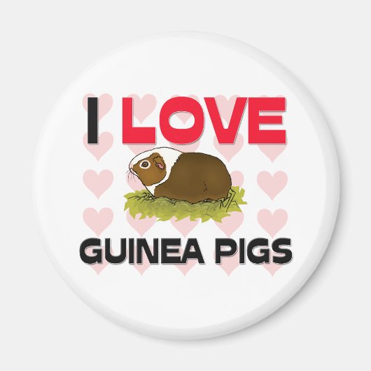I Love Guinee Pigs Magneet (Voorkant)