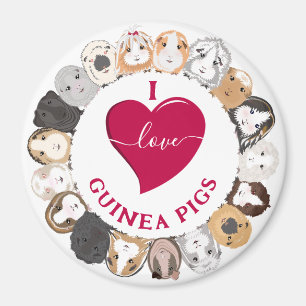 I Love Guinee Pigs Magneet