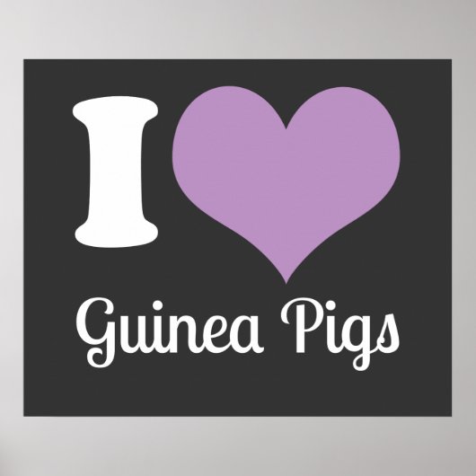 I Love Guinee Pigs Poster (Voorkant)