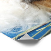 I Love Guinee Pigs Poster (Hoek)