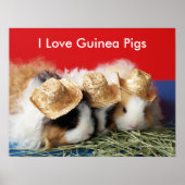I Love Guinee Pigs Poster (Voorkant)