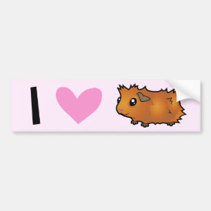 I Love Guinee Pigs (scruffy) Bumpersticker