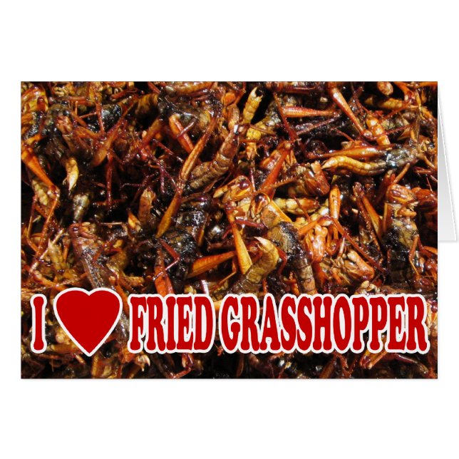 I Love (Heart) Fried Grasshopper (Voorkant Horizontaal)