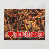 I Love (Heart) Fried Grasshopper Briefkaart (Voorkant)