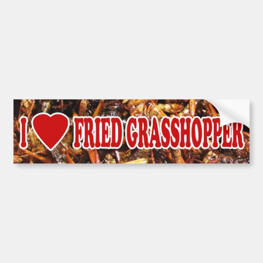 I Love (Heart) Fried Grasshopper Bumpersticker (Voorkant)