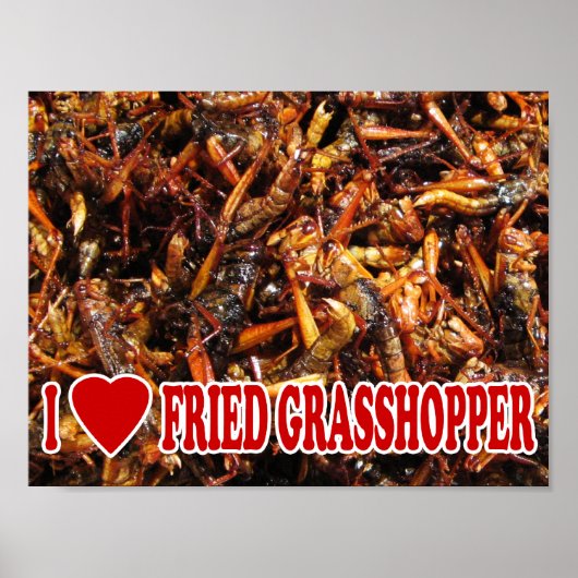 I Love (Heart) Fried Grasshopper Poster (Voorkant)