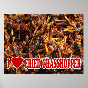 I Love (Heart) Fried Grasshopper Poster