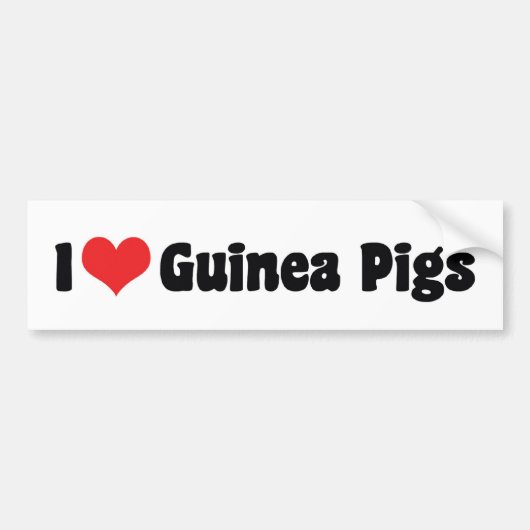 I Love Heart Guinee Pigs Bumpersticker (Voorkant)