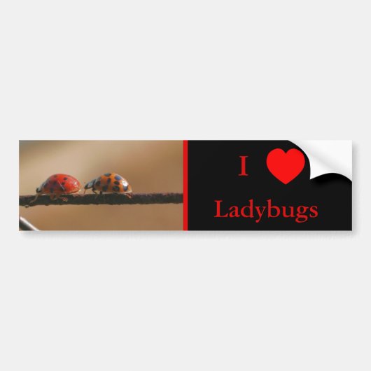 I Love Heart Ladybugs Natuur 2 Bumpersticker (Voorkant)