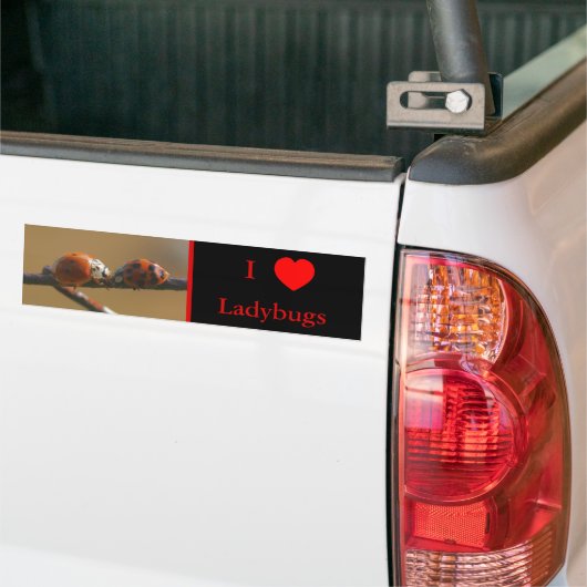I Love Heart Ladybugs Natuur 3 Bumpersticker (Op Truck)