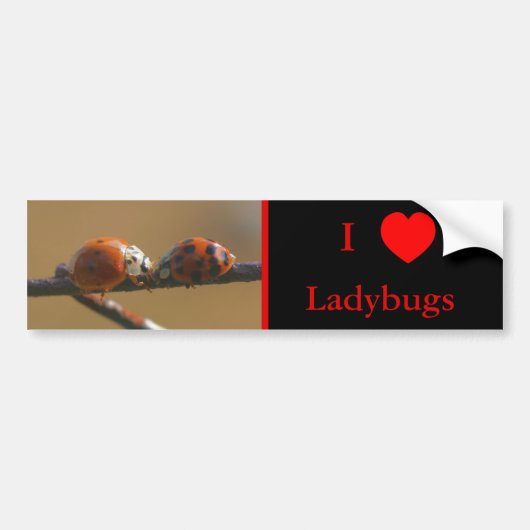 I Love Heart Ladybugs Natuur 3 Bumpersticker (Voorkant)