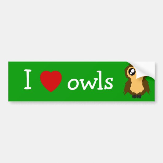 I Love/Heart Ownership Cute Scruffy Owl Bumperstic Bumpersticker (Voorkant)