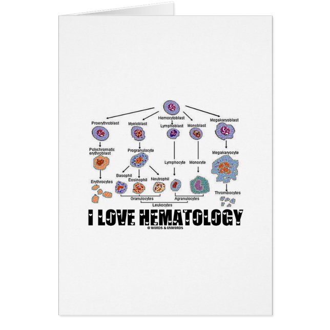 I Love Hematology (Blood Cell Lineage) (Voorkant)
