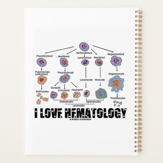 I Love Hematology Blood Cell Lineage Planner (Achterkant)