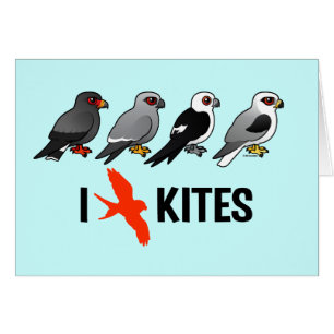 I Love Kites