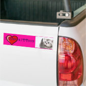 i love kittens bumpersticker (Op Truck)