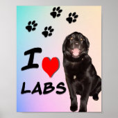 I Love Labs Print, waarde Poster papier (mat) (Voorkant)