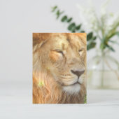 I Love Lions Briefkaart (Staand voorkant)