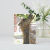 I Love Llamas Briefkaart (Staand voorkant)