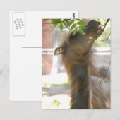 I Love Llamas Briefkaart (Voorkant / Achterkant)