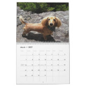 I Love Long Hair Miniature Dachshunds 12 mo Kalender (Mar 2027)