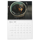I Love Long Hair Miniature Dachshunds 12 mo Kalender (Feb 2027)