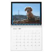 I Love Long Hair Miniature Dachshunds Kalender (Jan 2027)