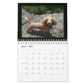 I Love Long Hair Miniature Dachshunds Kalender (Mar 2027)