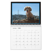 I Love Long Hair Miniature Dachshunds Kalender (Jan 2026)