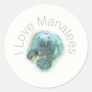 I Love Manatees Art Ronde Sticker