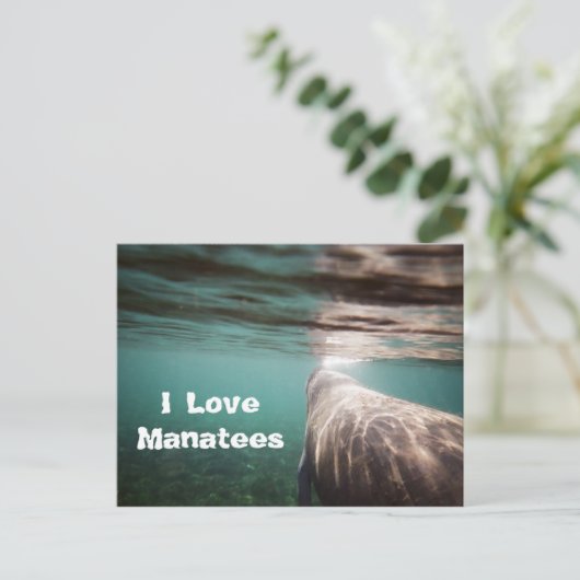 I Love Manatees Briefkaart (Staand voorkant)